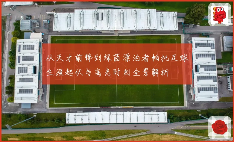 从天才前锋到绿茵漂泊者帕托足球生涯起伏与高光时刻全景解析