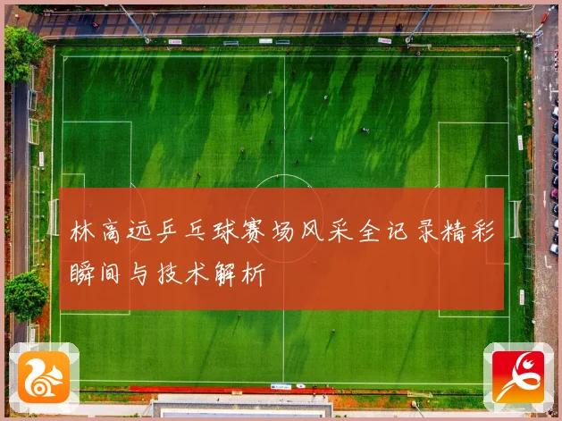 林高远乒乓球赛场风采全记录精彩瞬间与技术解析
