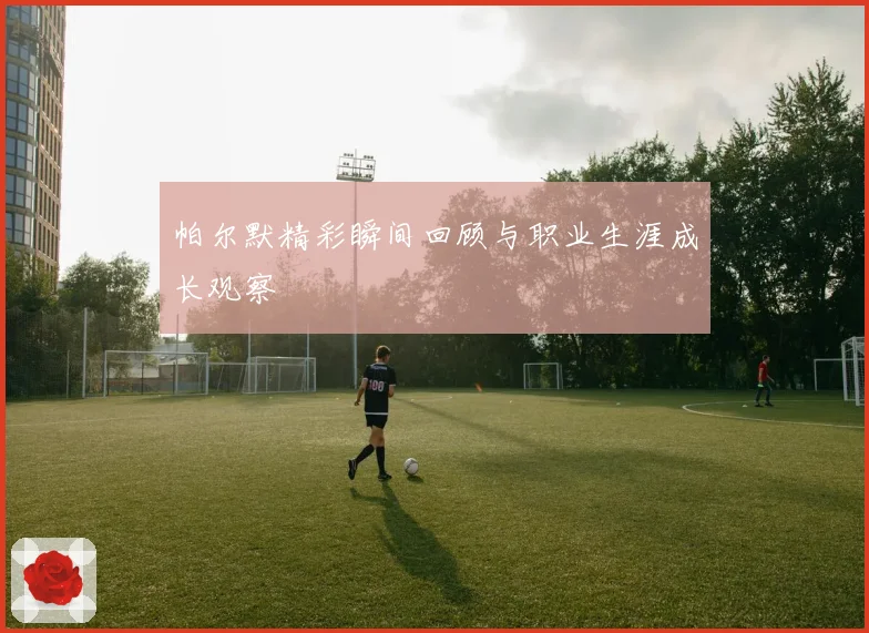 帕尔默精彩瞬间回顾与职业生涯成长观察