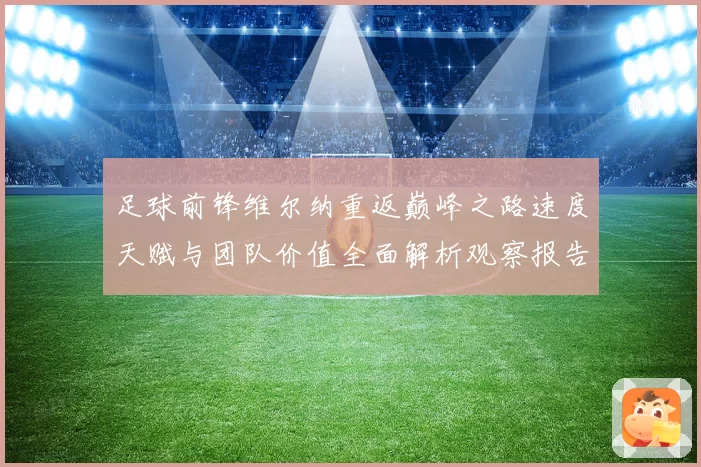 足球前锋维尔纳重返巅峰之路速度天赋与团队价值全面解析观察报告