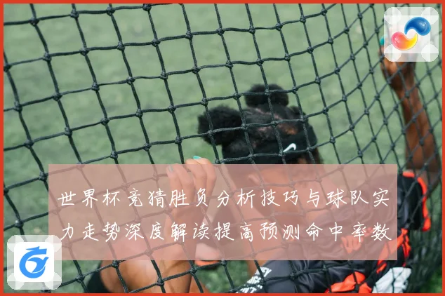 世界杯竞猜胜负分析技巧与球队实力走势深度解读提高预测命中率数据研判
