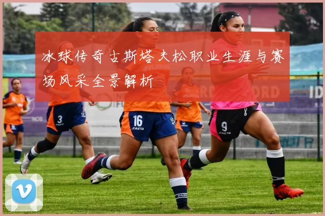 冰球传奇古斯塔夫松职业生涯与赛场风采全景解析